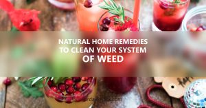 Natural Home Remedies To Clean Your System Of Weed